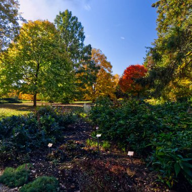 Doğanın gösterebileceği her renk ve ışık gölgesi, Niagara Şelalesi, On, Kanada