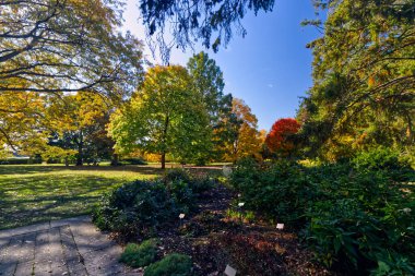 Doğayla ve onun ihtişamıyla sakin bir öğleden sonra, Niagara Şelalesi, On, Kanada