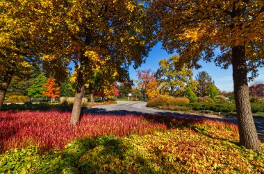 Niagara 'nın Botanik Bahçeleri, Niagara Şelaleleri, On, Kanada