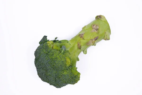 Fresh Broccoli White Background Photographed — Stockfoto
