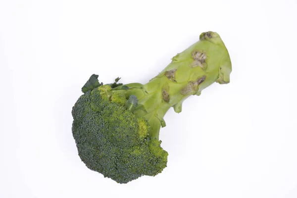 Fresh Broccoli White Background Photographed Stockbild