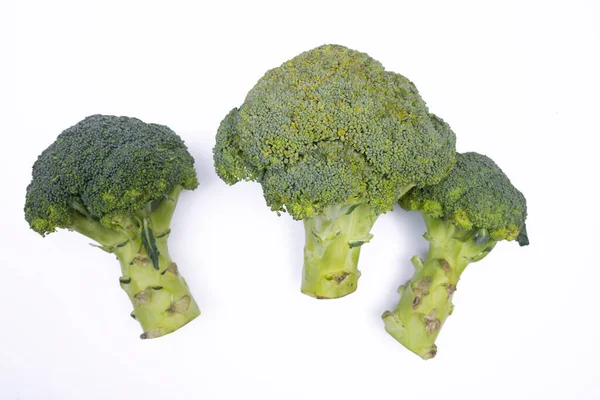Fresh Broccoli White Background Photographed Stockbild