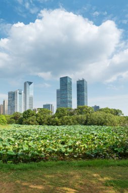 Bahar Parkı ve modern şehir