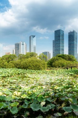 Bahar Parkı ve modern şehir