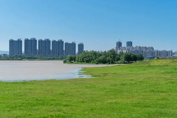 Şehir merkezi ve modern şehrin parkındaki çiçek tarlası.
