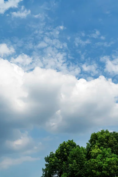 蓝天与卷云 今天是晴天 早上是好天气 免版税图库照片
