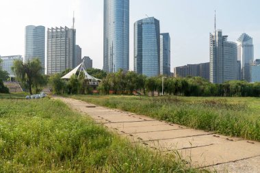 Şehir merkezi ve modern şehrin parkındaki çiçek tarlası.