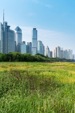 Şehir merkezi ve modern şehrin parkındaki çiçek tarlası.