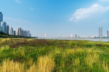 Şehir merkezi ve modern şehrin parkındaki çiçek tarlası.
