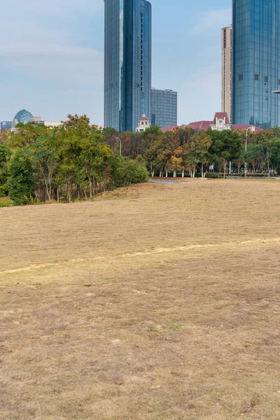 Городской Парк Современным Строительным Фоном Шанхае Стоковое Изображение