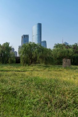 Şangay 'da modern bina geçmişi olan şehir parkı.
