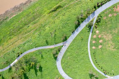 Parktaki bir yolun hava aracı fotoğrafçılığı