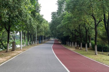 Yeni patika ve güzel ağaçlar parkta koşmak, yürümek ve bisiklete binmek için iz sürüyor. 