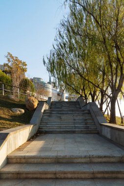 Parkın iki tarafında da tırabzan olan merdivenler.