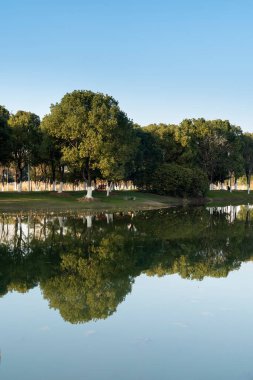 Parktaki göletin çevresi yemyeşil