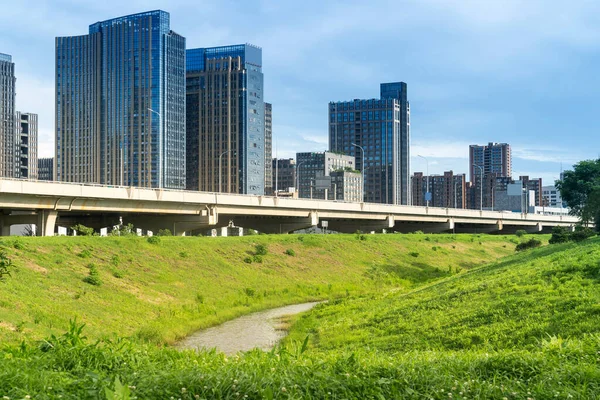 Городской Парк Современным Строительным Фоном Шанхае — стоковое фото