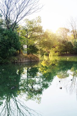 Parktaki göletin çevresi yemyeşil