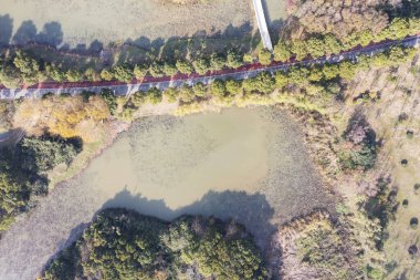 Hava manzarası, ormanlar ve göller