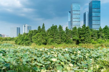Bahar Parkı ve modern şehir