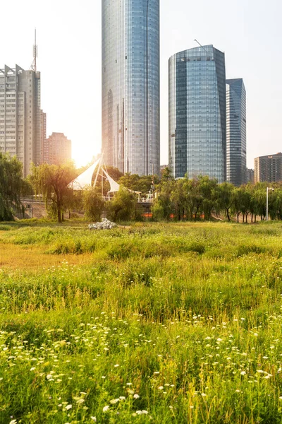 Stadspark Met Moderne Gebouw Achtergrond Shanghai Stockfoto