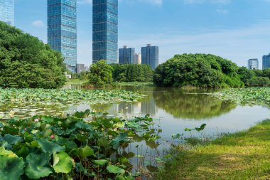 Bahar Parkı ve modern şehir
