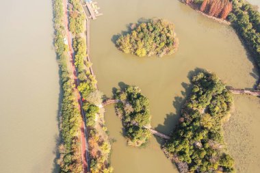 Hava manzarası, ormanlar ve göller