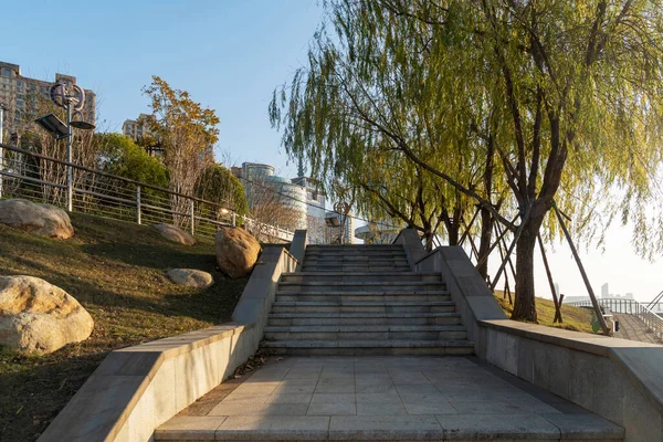 Lépcsők Korláttal Mindkét Oldalon Egy Parkban — Stock Fotó