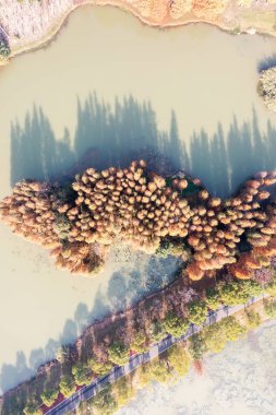 Hava manzarası, ormanlar ve göller