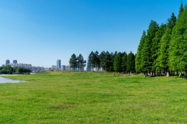 Şangay 'da modern bina geçmişi olan şehir parkı.
