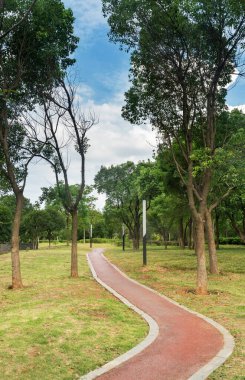 Çin 'deki Şehir Parkı yolu.