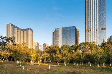 Şangay 'da modern bina geçmişi olan şehir parkı.