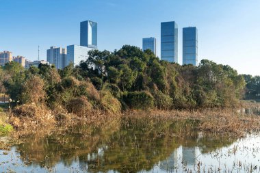 Çin 'deki Lakeside modern ofis binası