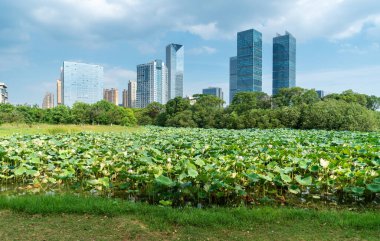 Bahar Parkı ve modern şehir