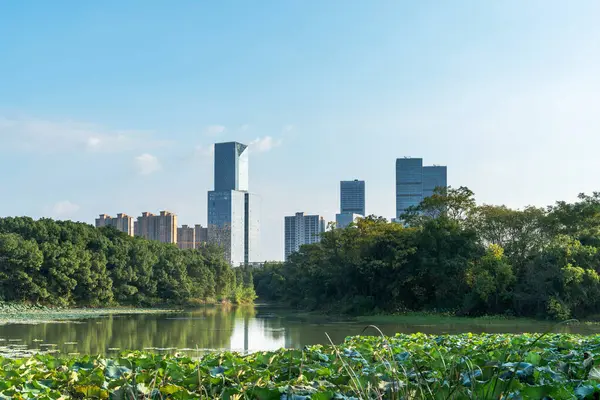 Çin 'deki Lakeside modern ofis binası