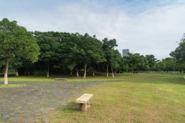 Yeşil şehir parkının güzel manzarası