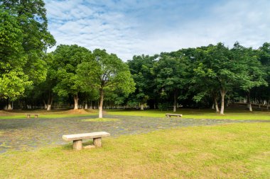 Yeşil şehir parkının güzel manzarası