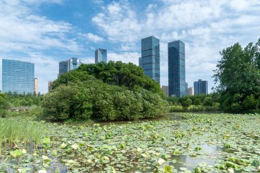 Çin 'deki Lakeside modern ofis binası