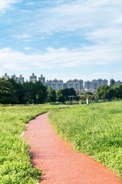 Çin 'deki Şehir Parkı yolu.