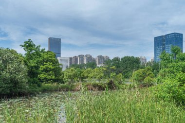 Bahar Parkı ve modern şehir