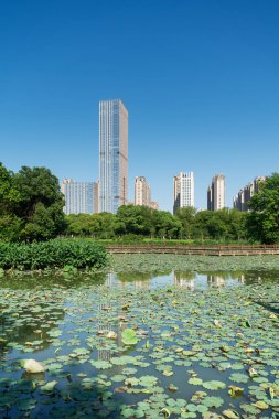 Çin 'deki Lakeside modern ofis binası