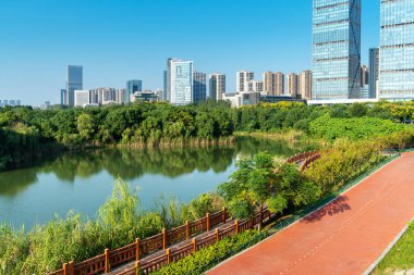 Şehrin gündüz görüntüsü ufuk çizgisi