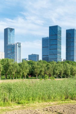 Şangay 'da modern bina geçmişi olan şehir parkı.