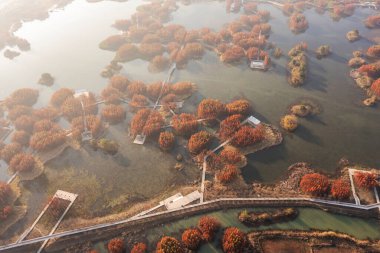 Hava manzarası, ormanlar ve göller