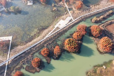 Hava manzarası, ormanlar ve göller