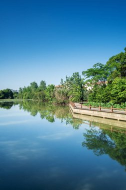 Parktaki göletin çevresi yemyeşil