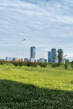 Şehir merkezi ve modern şehrin parkındaki çiçek tarlası.