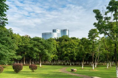 Yeşil şehir parkının güzel manzarası