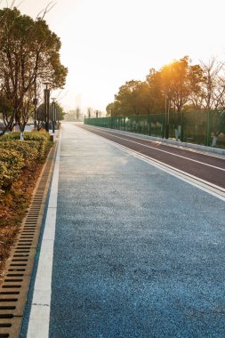 Yeni patika ve güzel ağaçlar parkta koşmak, yürümek ve bisiklete binmek için iz sürüyor. 