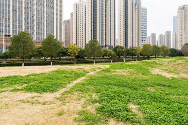 Şangay 'da modern bina geçmişi olan şehir parkı.