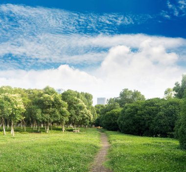 Yeşil şehir parkının güzel manzarası